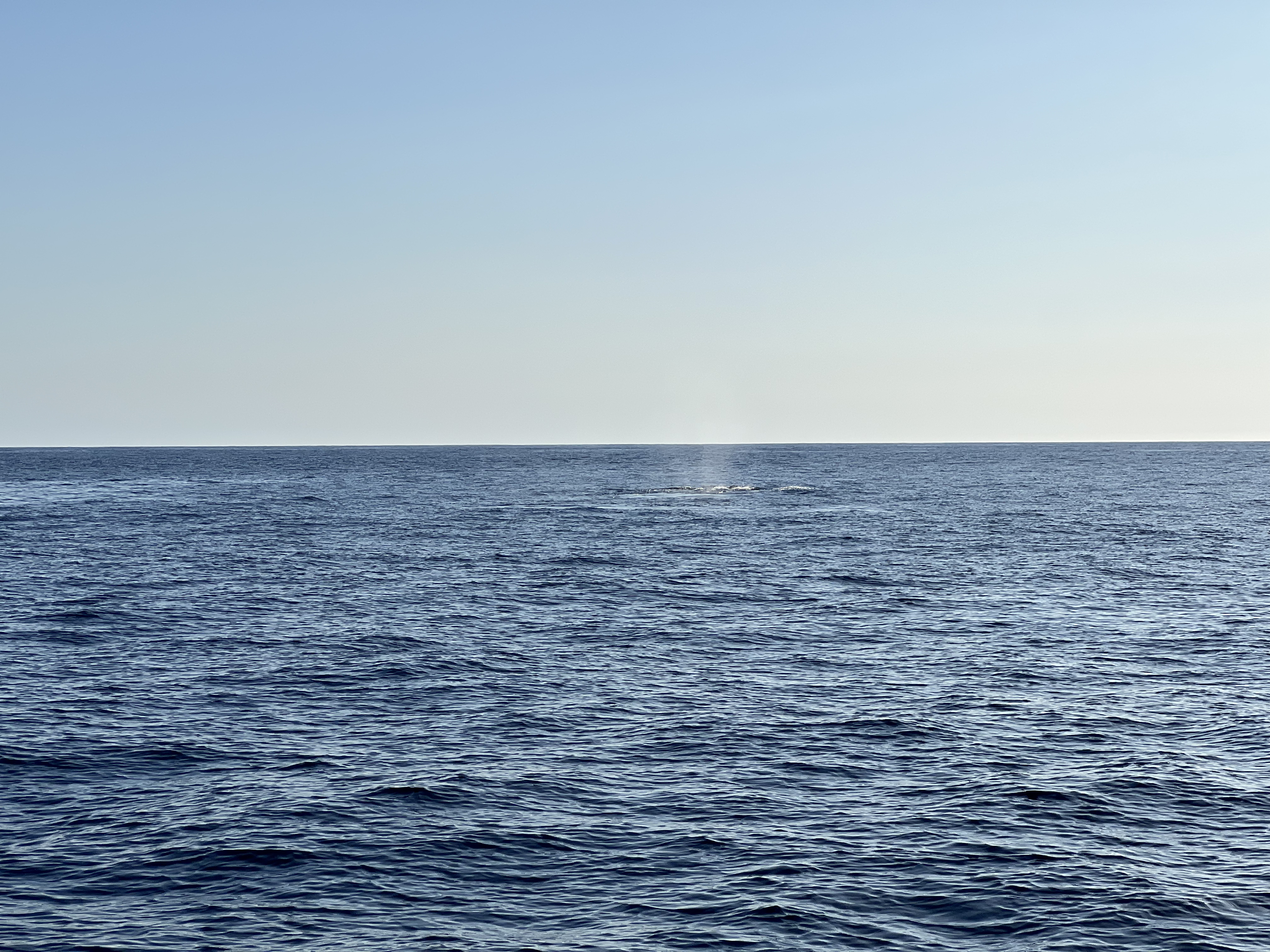 ./2024/13 - Cabo/IMG_4669.jpg